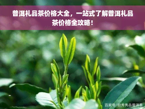 普洱礼品茶价格大全，一站式了解普洱礼品茶价格全攻略！