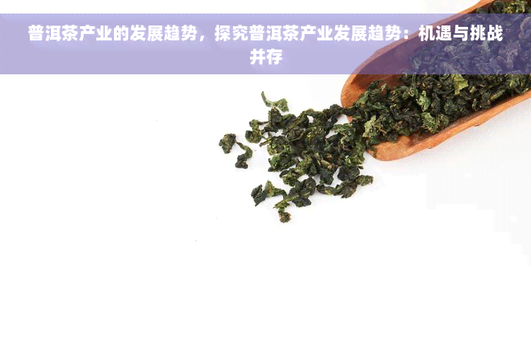 普洱茶产业的发展趋势，探究普洱茶产业发展趋势：机遇与挑战并存