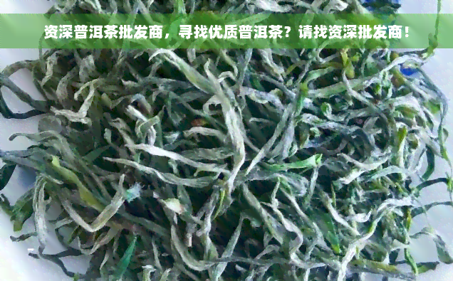 资深普洱茶批发商，寻找优质普洱茶？请找资深批发商！