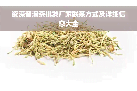 资深普洱茶批发厂家联系方式及详细信息大全