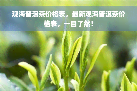 观海普洱茶价格表，最新观海普洱茶价格表，一目了然！