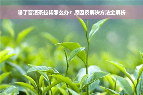 喝了普洱茶拉稀怎么办？原因及解决方法全解析