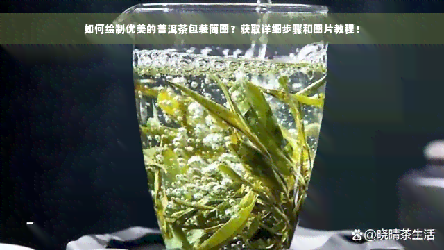 如何绘制优美的普洱茶包装简图？获取详细步骤和图片教程！