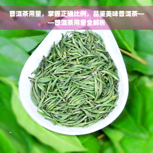 普洱茶用量，掌握正确比例，品鉴美味普洱茶——普洱茶用量全解析