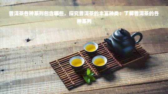 普洱茶各种系列包含哪些，探究普洱茶的丰富种类：了解普洱茶的各种系列