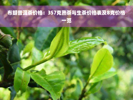 布朗普洱茶价格：357克熟茶与生茶价格表及8克价格一览