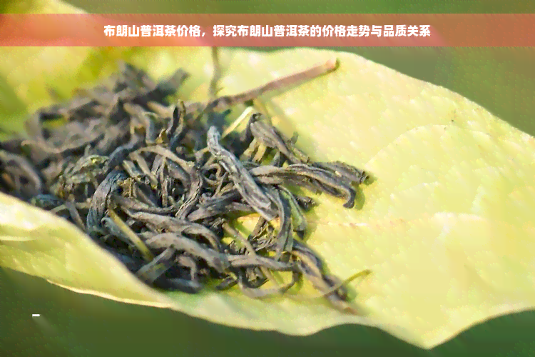 布朗山普洱茶价格，探究布朗山普洱茶的价格走势与品质关系