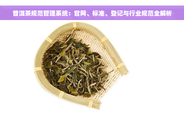 普洱茶规范管理系统：官网、标准、登记与行业规范全解析