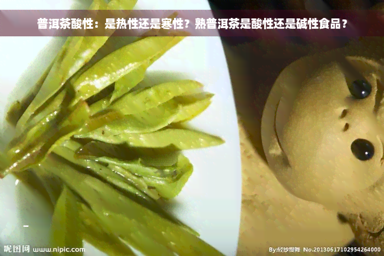 普洱茶酸性：是热性还是寒性？熟普洱茶是酸性还是碱性食品？