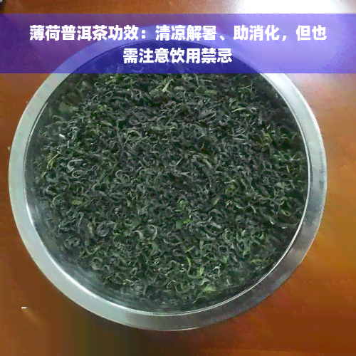 薄荷普洱茶功效：清凉解暑、助消化，但也需注意饮用禁忌