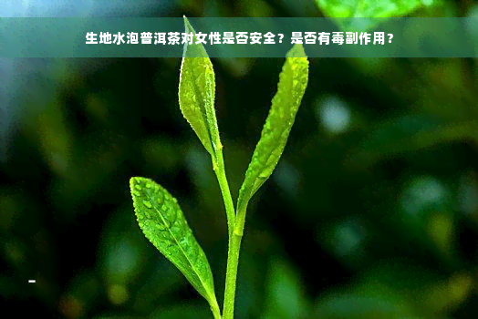 生地水泡普洱茶对女性是否安全？是否有毒副作用？