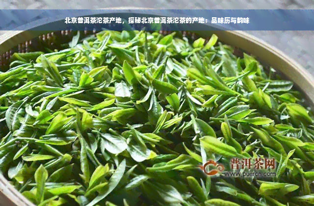 北京普洱茶沱茶产地，探秘北京普洱茶沱茶的产地：品味历与韵味