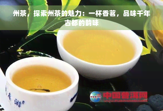 州茶，探索州茶的魅力：一杯香茗，品味千年古都的韵味