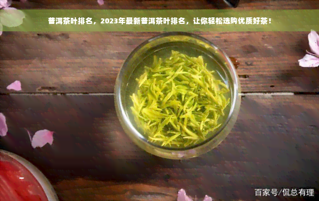 普洱茶叶排名，2023年最新普洱茶叶排名，让你轻松选购优质好茶！