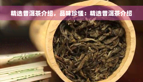 精选普洱茶介绍，品味珍馐：精选普洱茶介绍