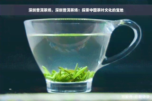 深圳普洱茶场，深圳普洱茶场：探索中国茶叶文化的宝地