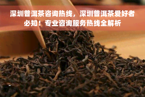 深圳普洱茶咨询热线，深圳普洱茶爱好者必知！专业咨询服务热线全解析