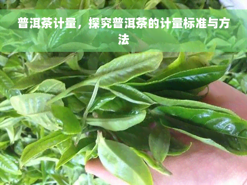 普洱茶计量，探究普洱茶的计量标准与方法