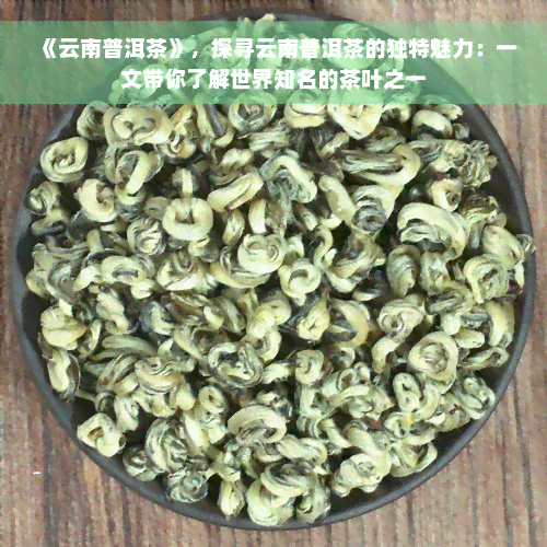 《云南普洱茶》，探寻云南普洱茶的独特魅力：一文带你了解世界知名的茶叶之一