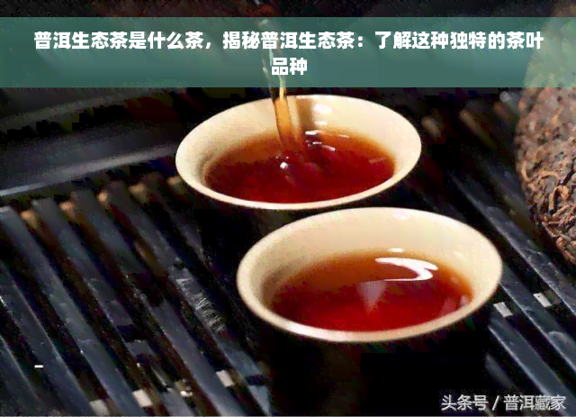 普洱生态茶是什么茶，揭秘普洱生态茶：了解这种独特的茶叶品种