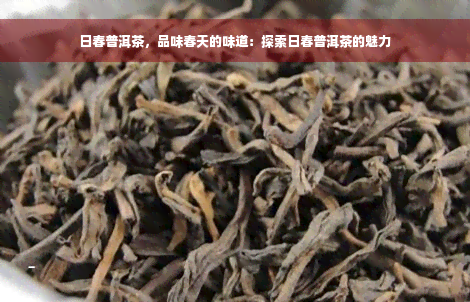 日春普洱茶，品味春天的味道：探索日春普洱茶的魅力