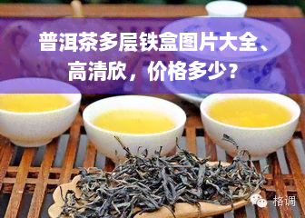 普洱茶多层铁盒图片大全、高清欣，价格多少？