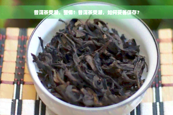 普洱茶受潮，警惕！普洱茶受潮，如何妥善保存？