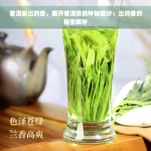 普洱茶出药香，揭开普洱茶的神秘面纱：出药香的秘密解析