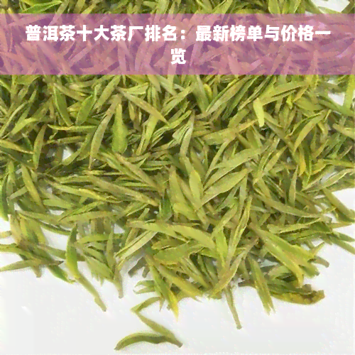 普洱茶十大茶厂排名：最新榜单与价格一览