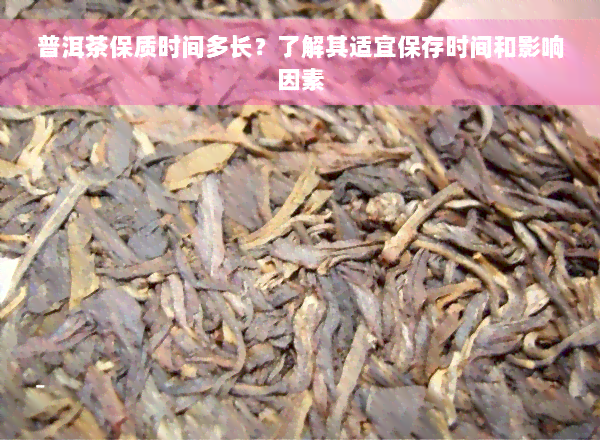 普洱茶保质时间多长？了解其适宜保存时间和影响因素