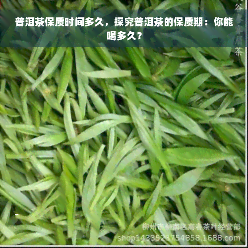 普洱茶保质时间多久，探究普洱茶的保质期：你能喝多久？