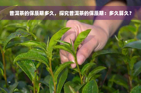 普洱茶的保质期多久，探究普洱茶的保质期：多久算久？