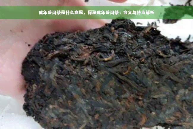 成年普洱茶是什么意思，探秘成年普洱茶：含义与特点解析