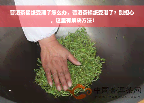 普洱茶棉纸受潮了怎么办，普洱茶棉纸受潮了？别担心，这里有解决方法！