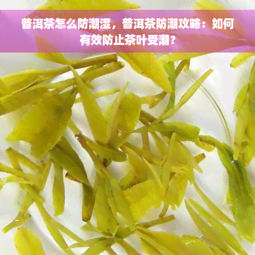 普洱茶怎么防潮湿，普洱茶防潮攻略：如何有效防止茶叶受潮？