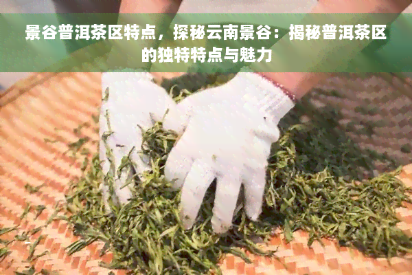 景谷普洱茶区特点，探秘云南景谷：揭秘普洱茶区的独特特点与魅力