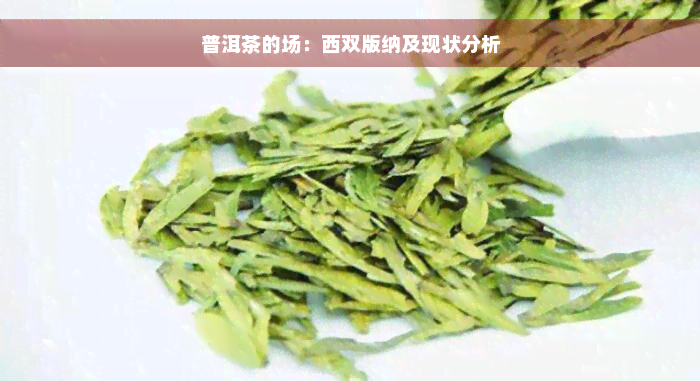 普洱茶的场：西双版纳及现状分析