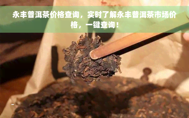 永丰普洱茶价格查询，实时了解永丰普洱茶市场价格，一键查询！