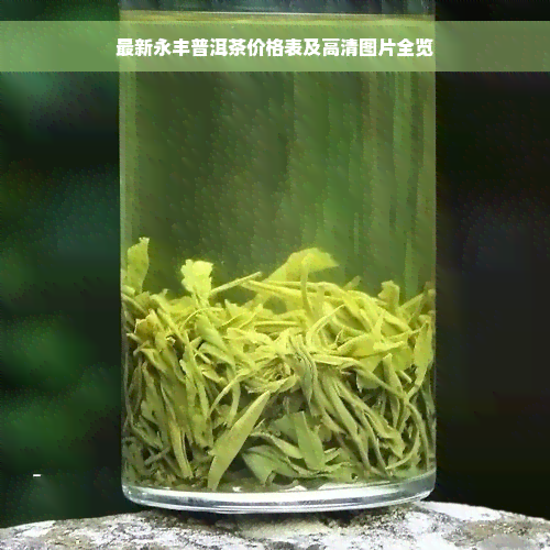 最新永丰普洱茶价格表及高清图片全览