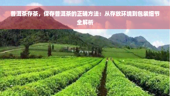 普洱茶存茶，保存普洱茶的正确方法：从存放环境到包装细节全解析