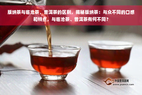 版纳茶与临沧茶、普洱茶的区别，揭秘版纳茶：与众不同的口感和特点，与临沧茶、普洱茶有何不同？