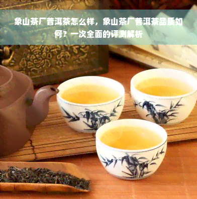 象山茶厂普洱茶怎么样，象山茶厂普洱茶品质如何？一次全面的评测解析