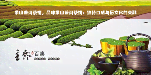 象山普洱茶饼，品味象山普洱茶饼：独特口感与历文化的交融