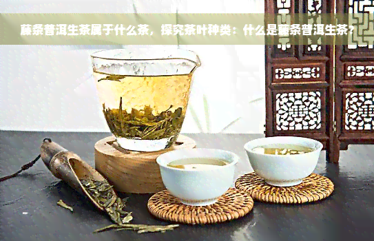 藤条普洱生茶属于什么茶，探究茶叶种类：什么是藤条普洱生茶？