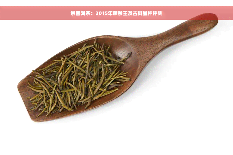 条普洱茶：2015年藤条王及古树品种评测