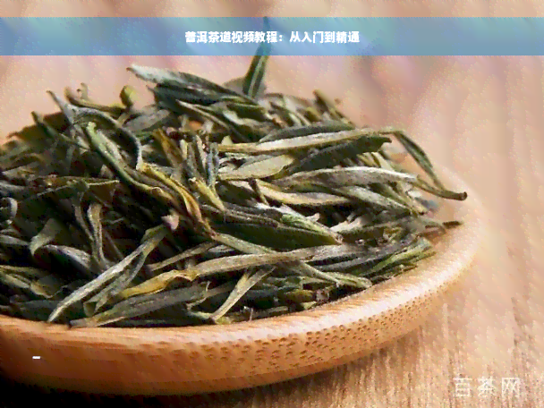 普洱茶道视频教程：从入门到精通