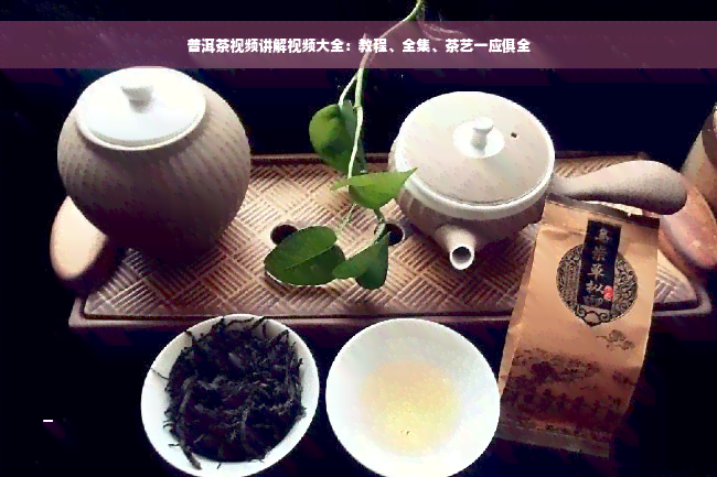 普洱茶视频讲解视频大全：教程、全集、茶艺一应俱全