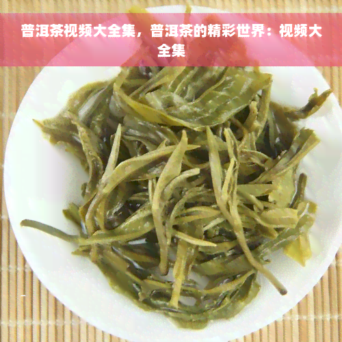 普洱茶视频大全集，普洱茶的精彩世界：视频大全集