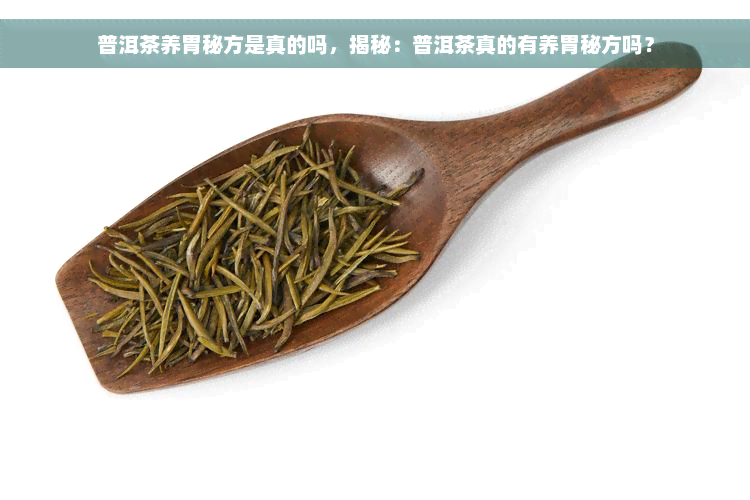 普洱茶养胃秘方是真的吗，揭秘：普洱茶真的有养胃秘方吗？