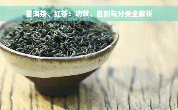 普洱茶、红茶：功效、区别与分类全解析